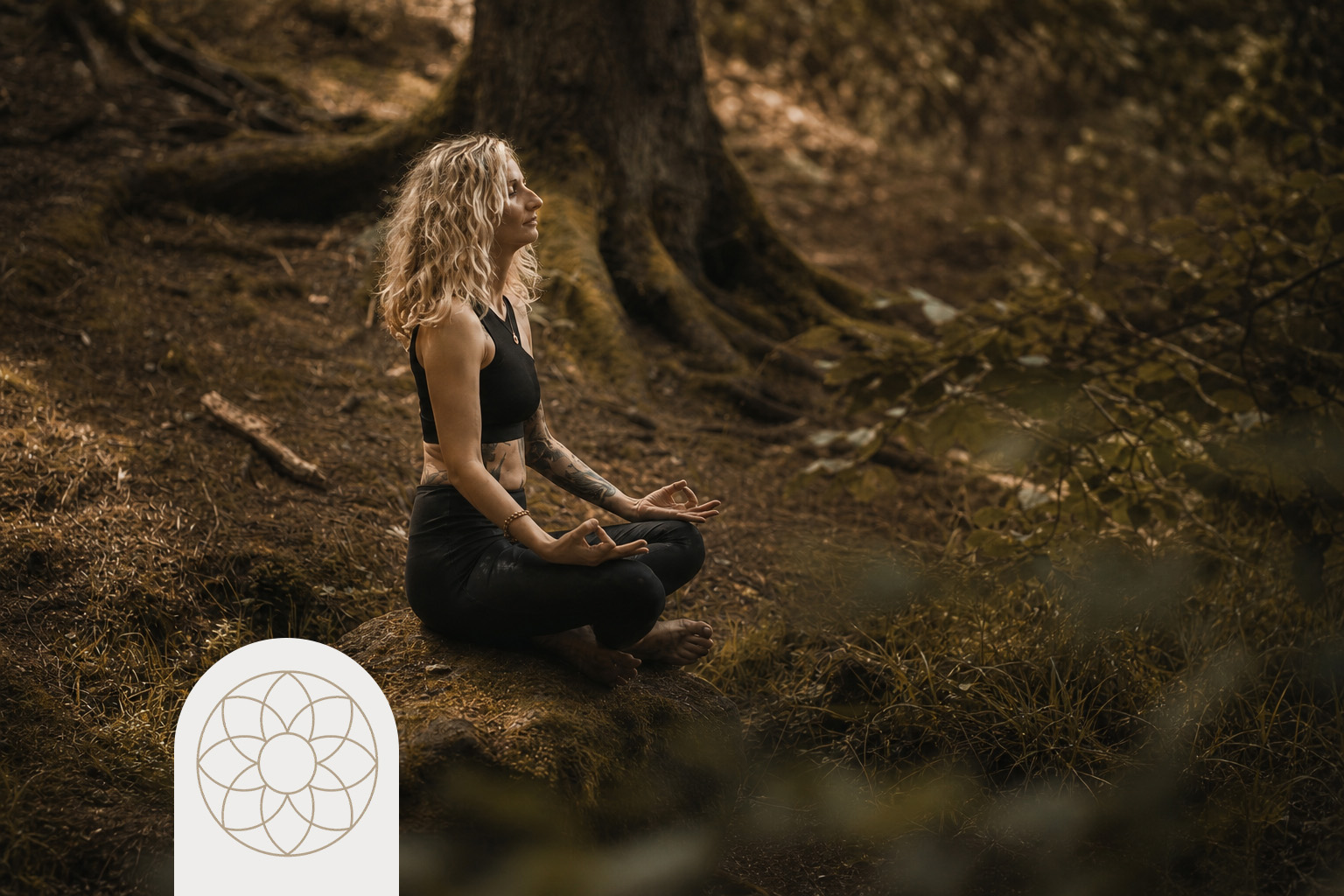 Meditation