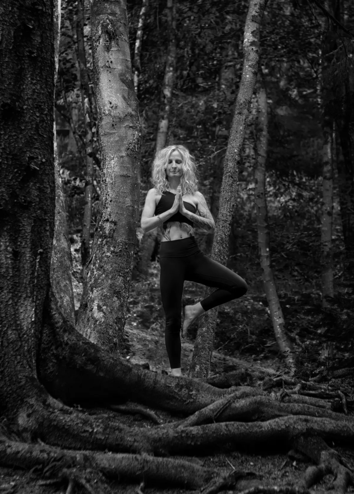 Inspire, Yogi-Dana, Tree Pose Inspire, Yogi-Dana, Tree Pose