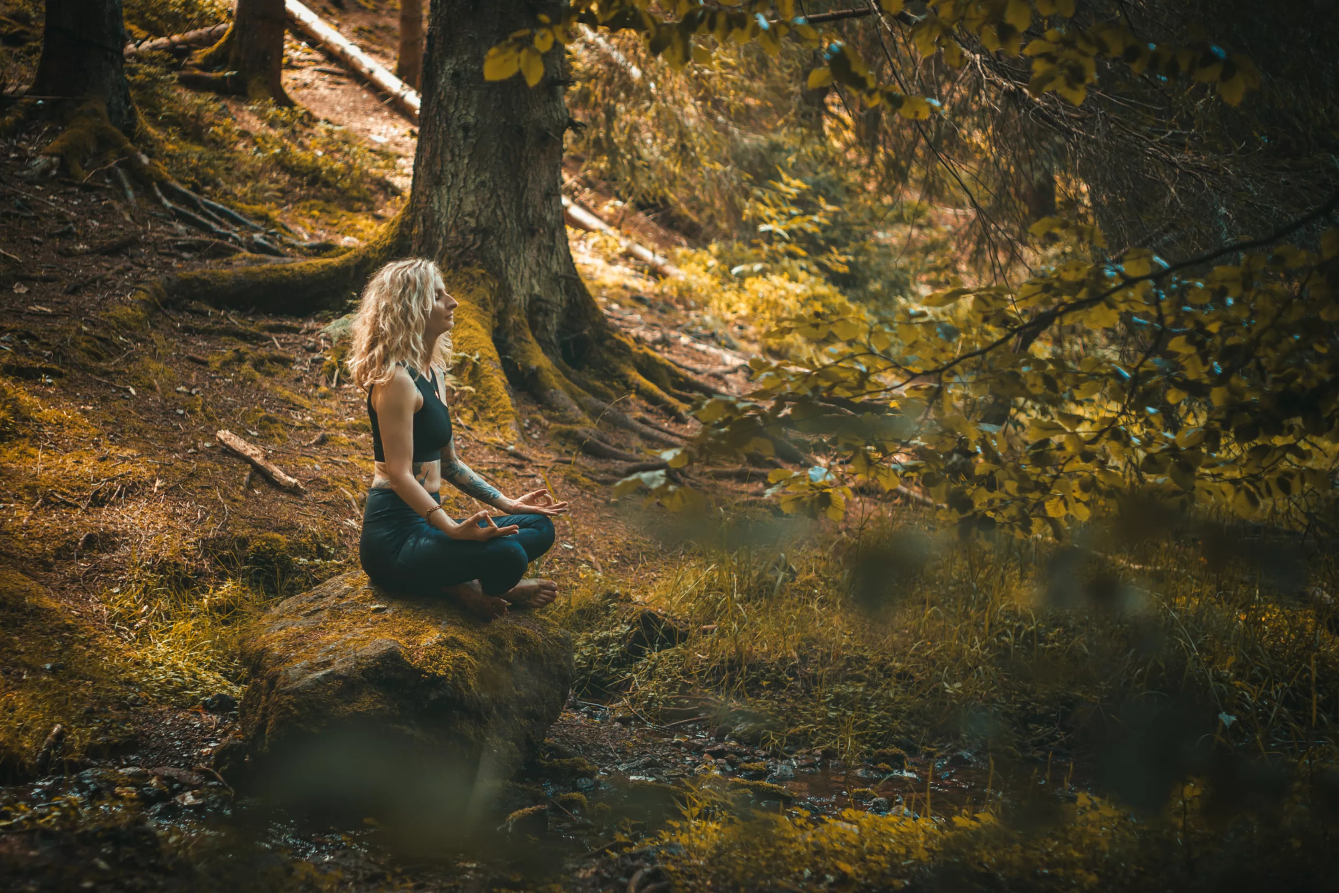 Meditation, Inspre, Lotussitz Meditation, Inspre, Lotussitz